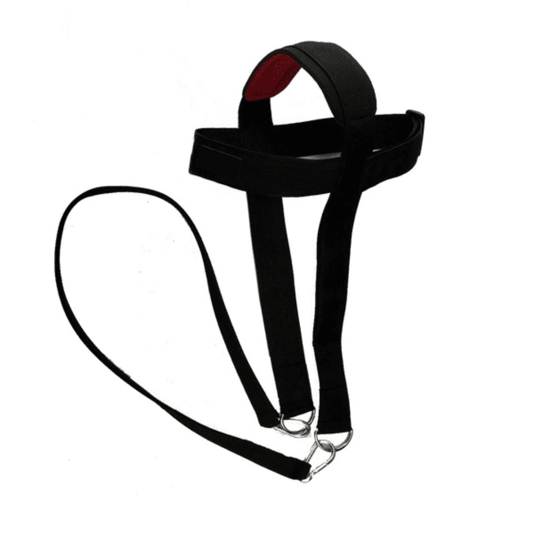 Neck Training Harness